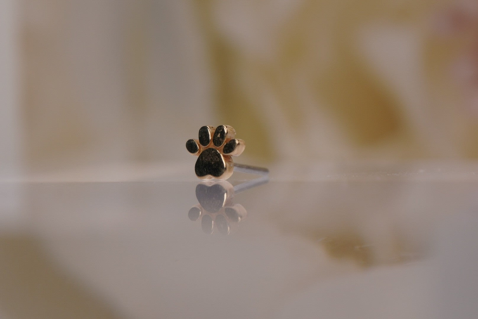 Mini Paw